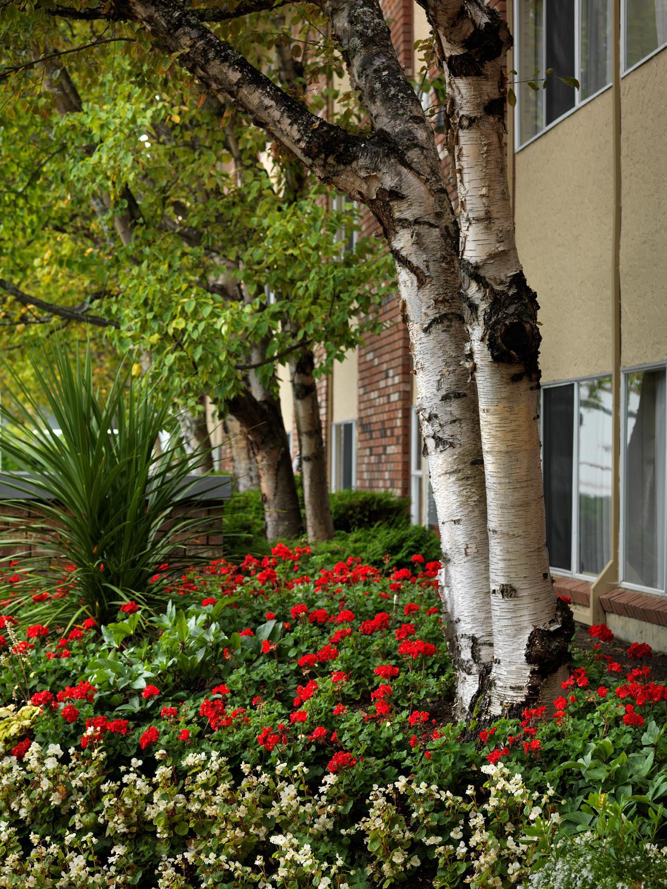 Royal Scot Hotel & Suites Виктория Экстерьер фото
